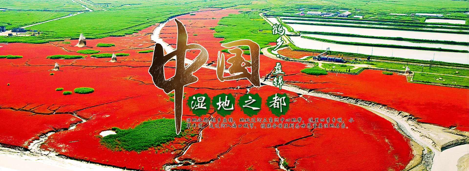 歡迎您來(lái)到專(zhuān)業(yè)的電抗器廠(chǎng)家-能曼電氣電抗器公司網(wǎng)站！公司專(zhuān)業(yè)生產(chǎn)電抗器與各種配電產(chǎn)品，歡迎大家聯(lián)系洽談合作!相信我們的服務(wù),您一定會(huì)滿(mǎn)意的.電抗器專(zhuān)線(xiàn):021-51000326