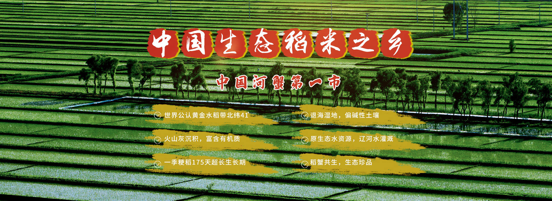 歡迎您來(lái)到專(zhuān)業(yè)的電抗器廠(chǎng)家-能曼電氣電抗器公司網(wǎng)站！公司專(zhuān)業(yè)生產(chǎn)電抗器與各種配電產(chǎn)品，歡迎大家聯(lián)系洽談合作!相信我們的服務(wù),您一定會(huì)滿(mǎn)意的.電抗器專(zhuān)線(xiàn):021-51000326